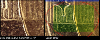 Na niebiesko zaznaczono artefakty stackowania, na czerwono mydlane rogi. Na zielono obszar nadający się do użytku. Praktycznie FOV DSLR jest jedynie nieznacznie większe od FOV kamery.